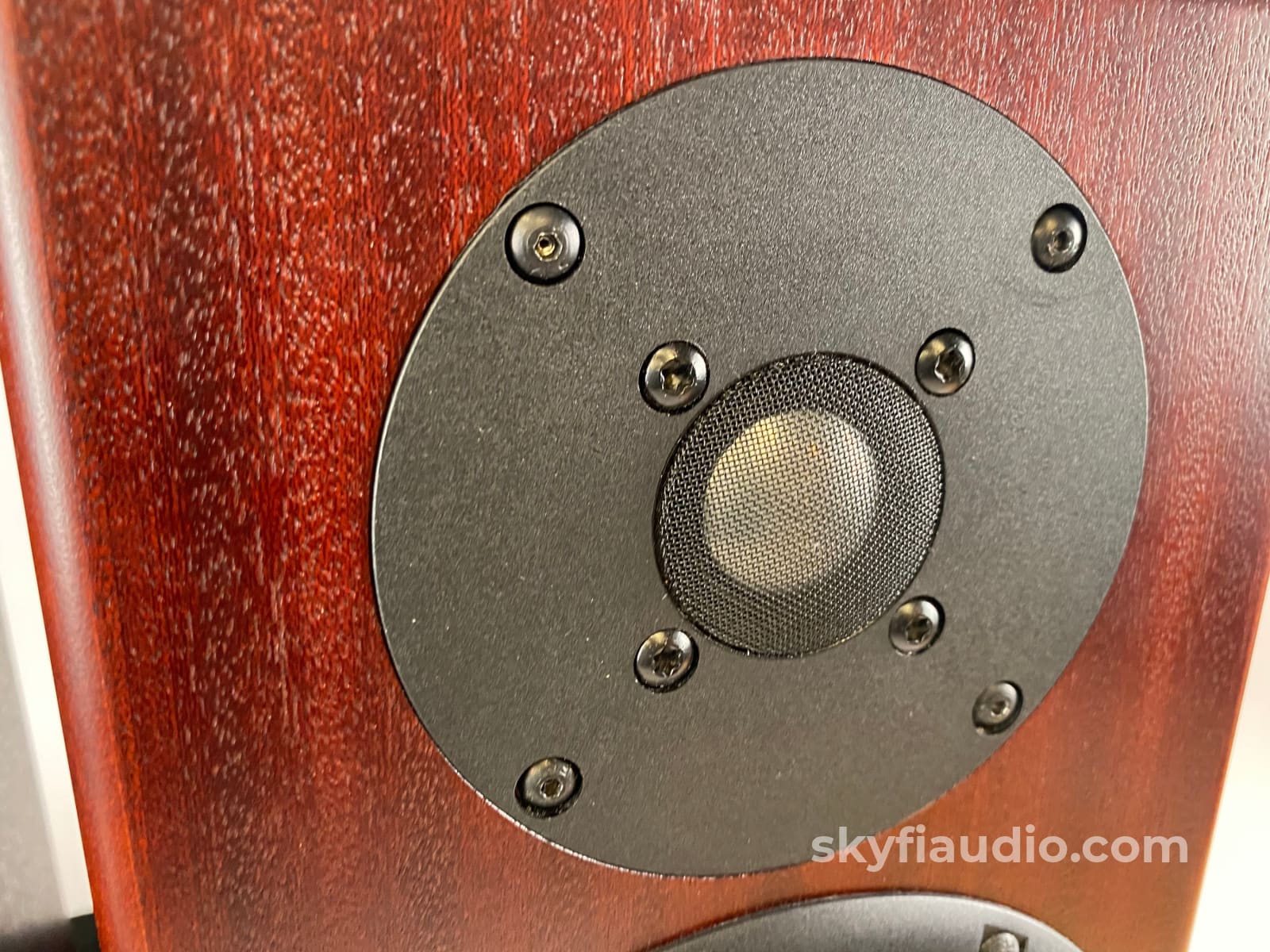 Totem Rainmaker Bookshelf Speakers In Mahagony - Big Sound