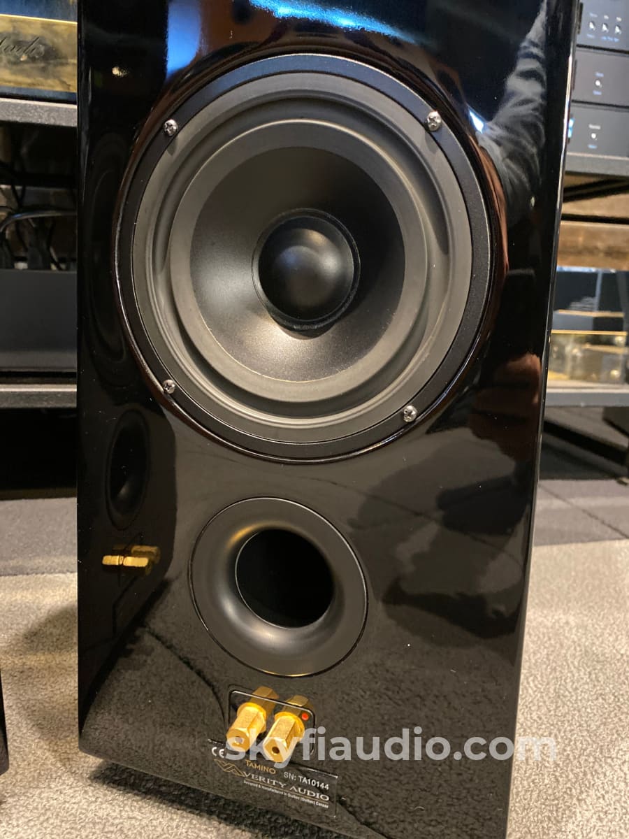 Verity Audio Tamino X3 Floorstanding Speakers - Rare!