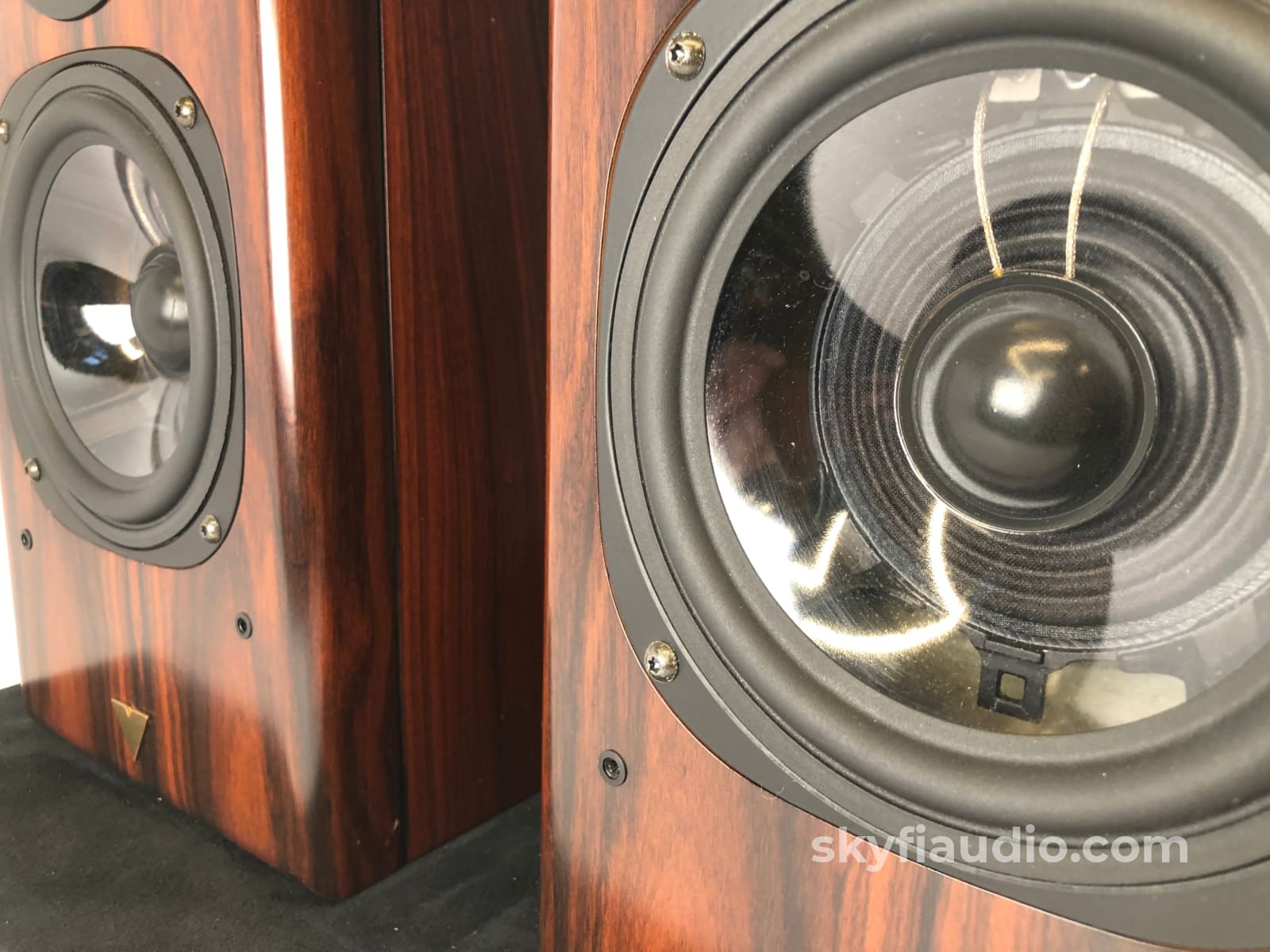 Vienna Acoustics Haydn Speakers - In A Spectacular Finish