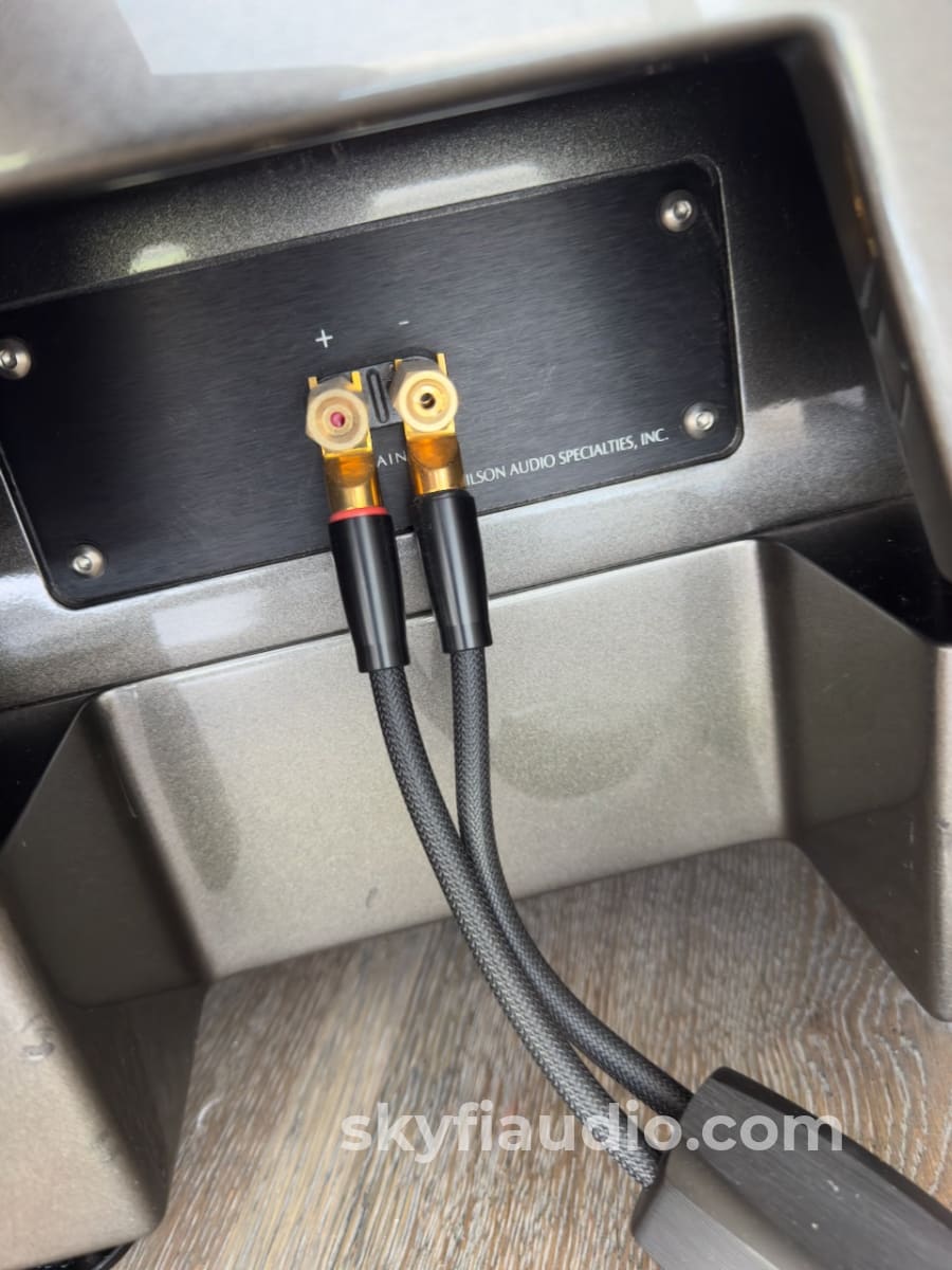 Wilson Audio Alexandria X2 (Series 2) Speakers - Complete Set With Crates