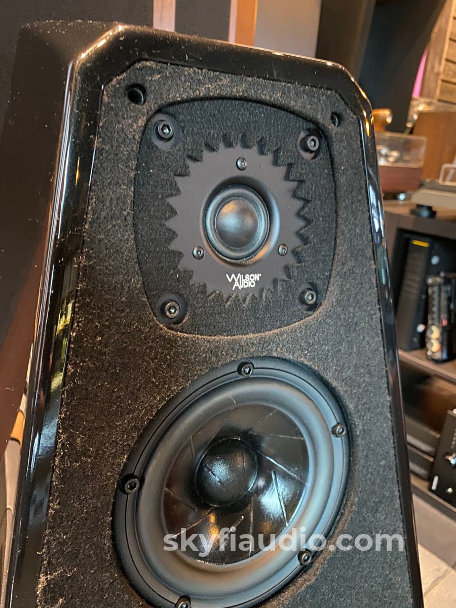 Wilson Audio Sabrina Speakers In Gloss Black