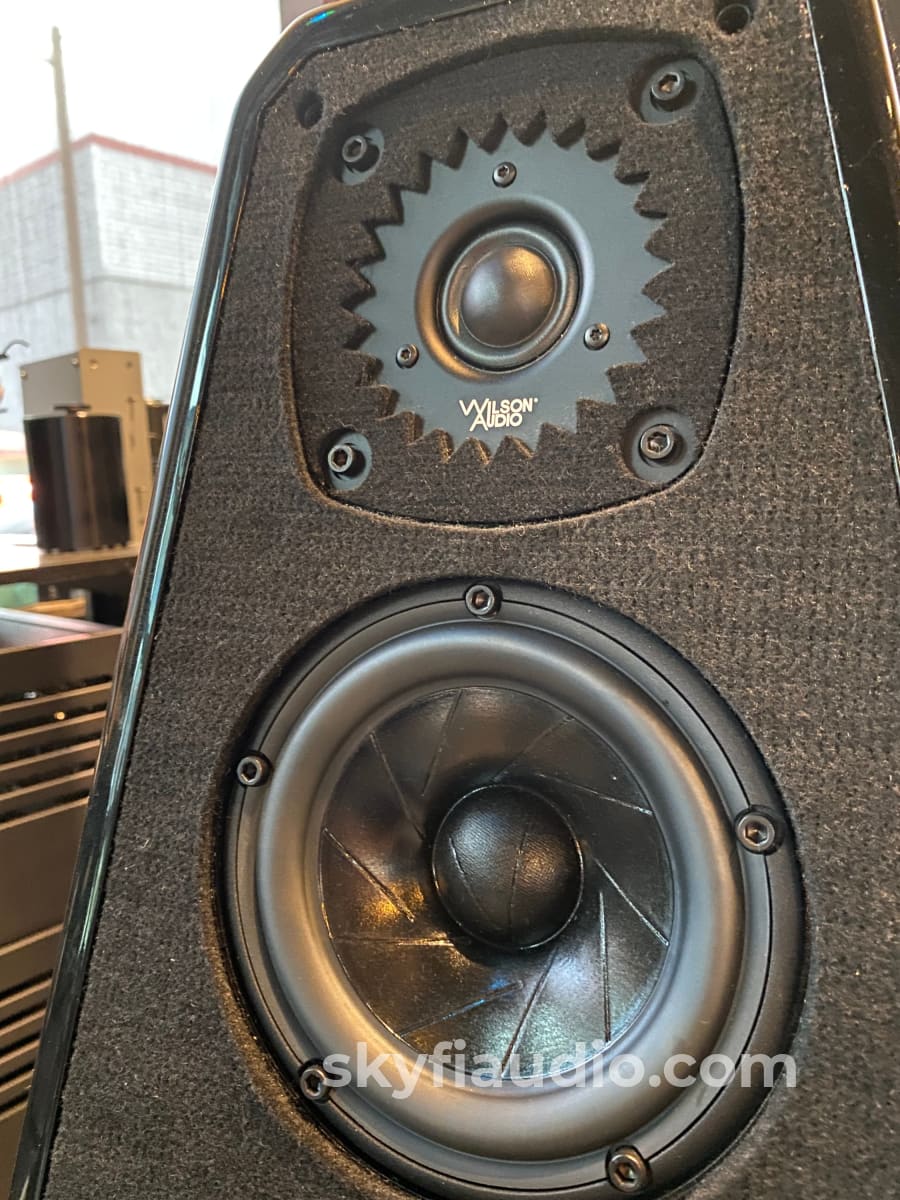 Wilson Audio Sabrina Speakers In Gloss Black