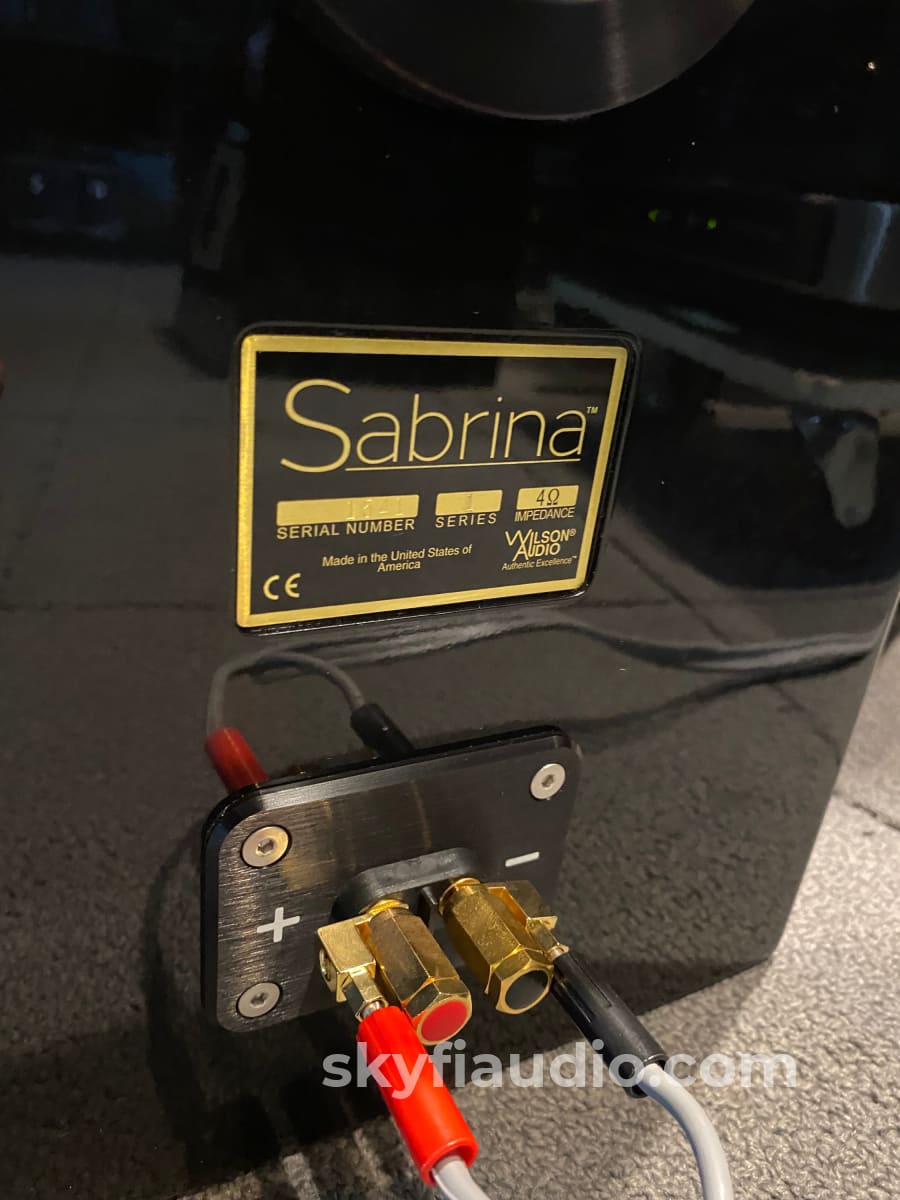 Wilson Audio Sabrina Speakers In Gloss Black