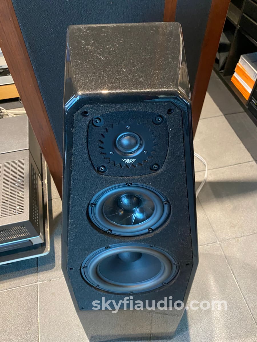 Wilson Audio Sabrina Speakers In Gloss Black