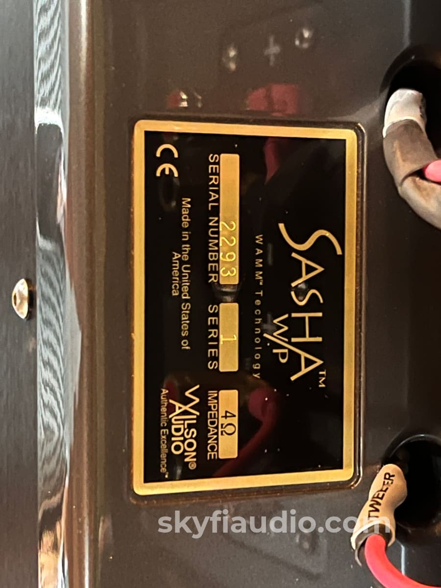 Wilson Audio Sasha Series 1 Speakers