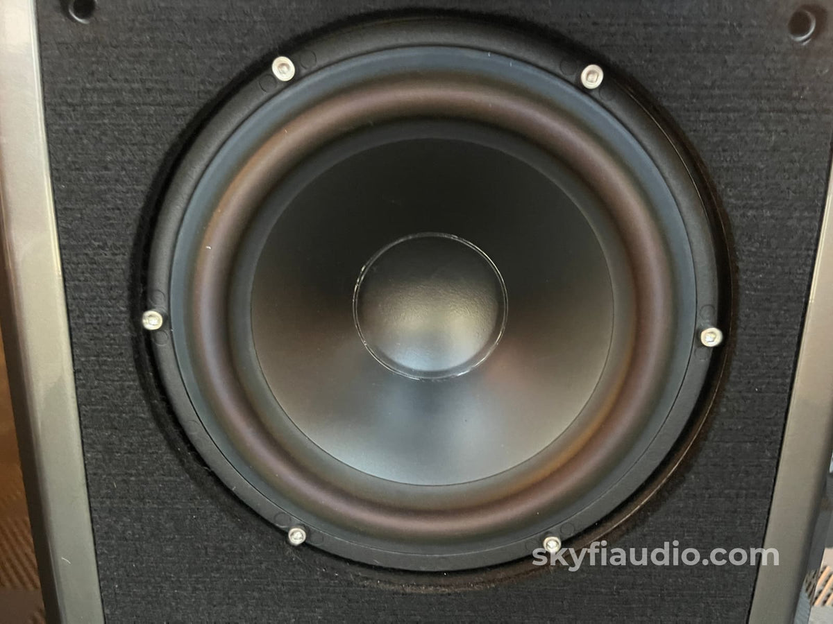 Wilson Audio Sasha Series 1 Speakers