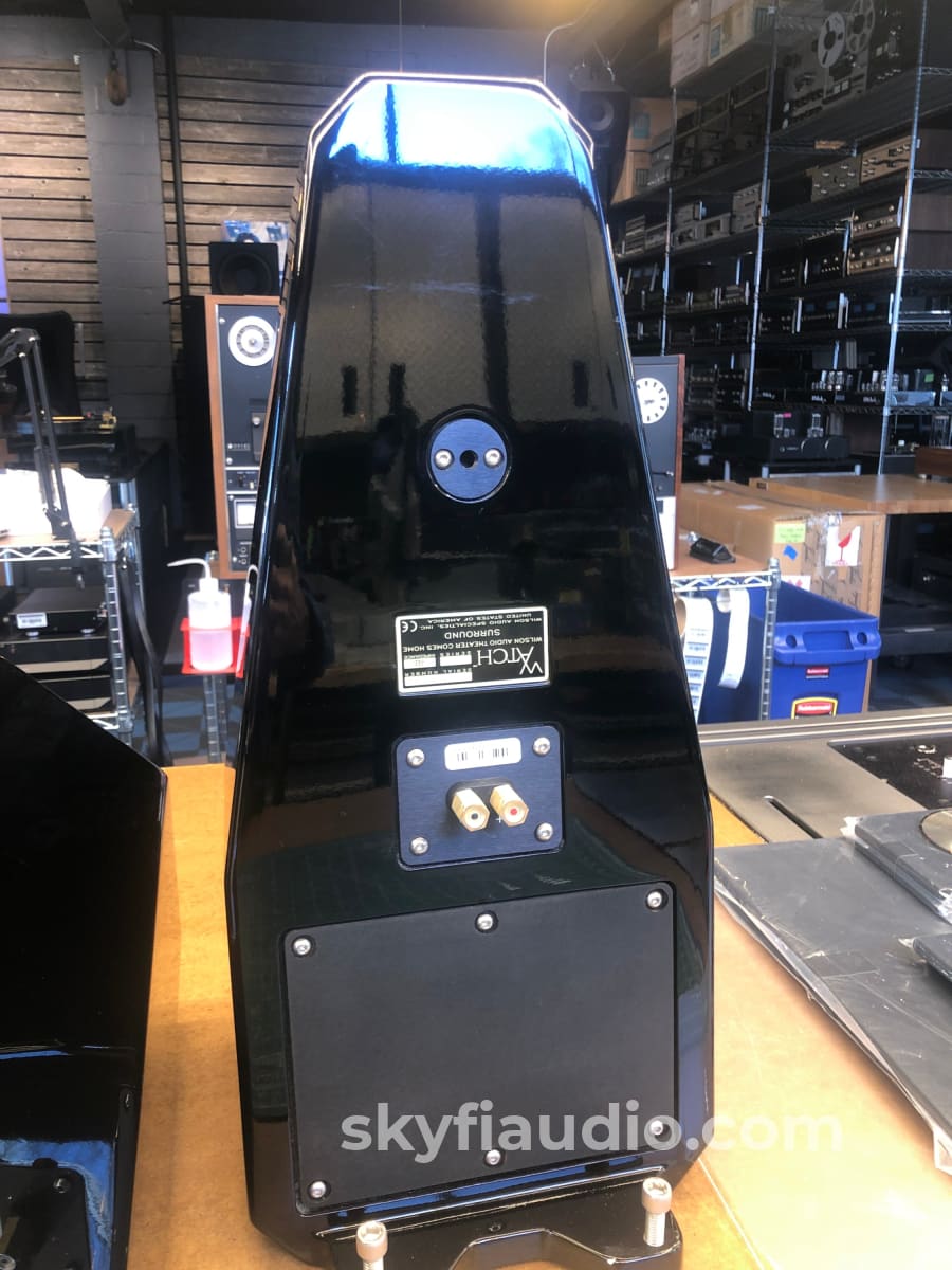 Wilson Audio Watch Surround Speaker Pair - Series 1 Gloss Black Rare Speakers