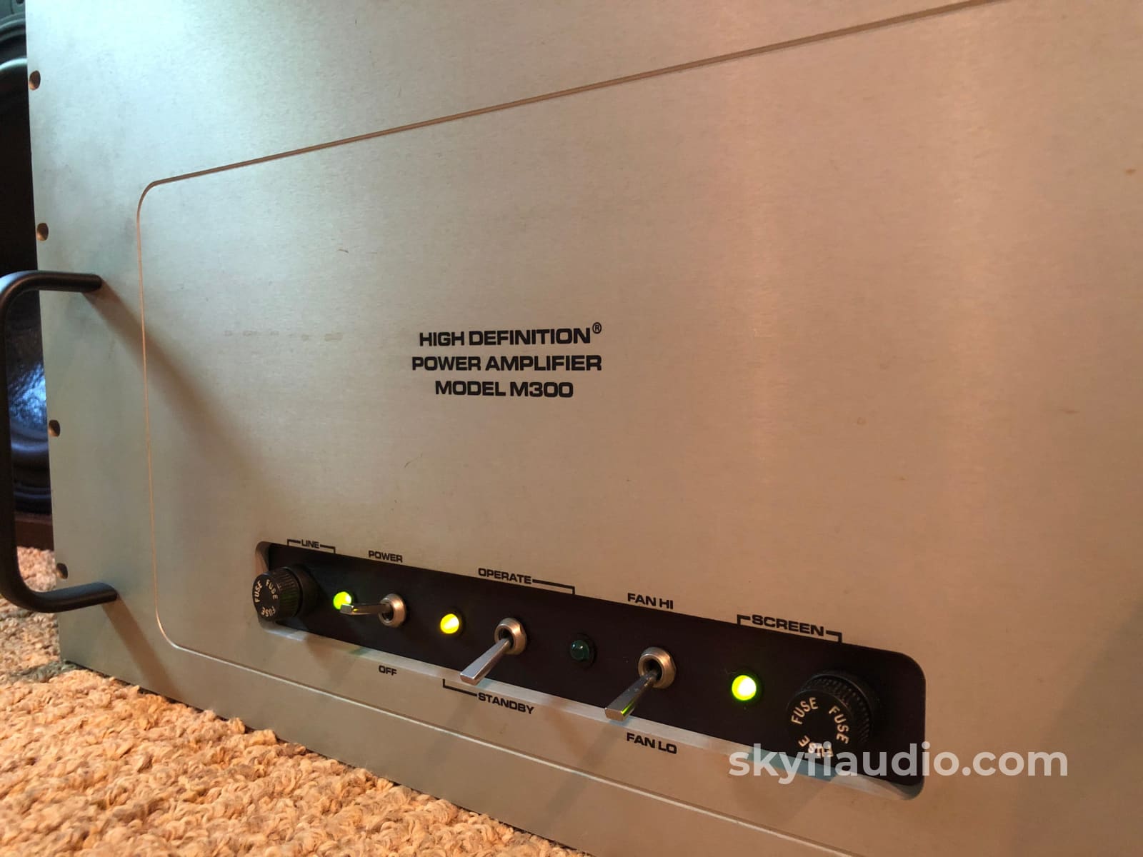 Audio Research M300 Tube Monoblock Amplifiers - 300W! Amplifier