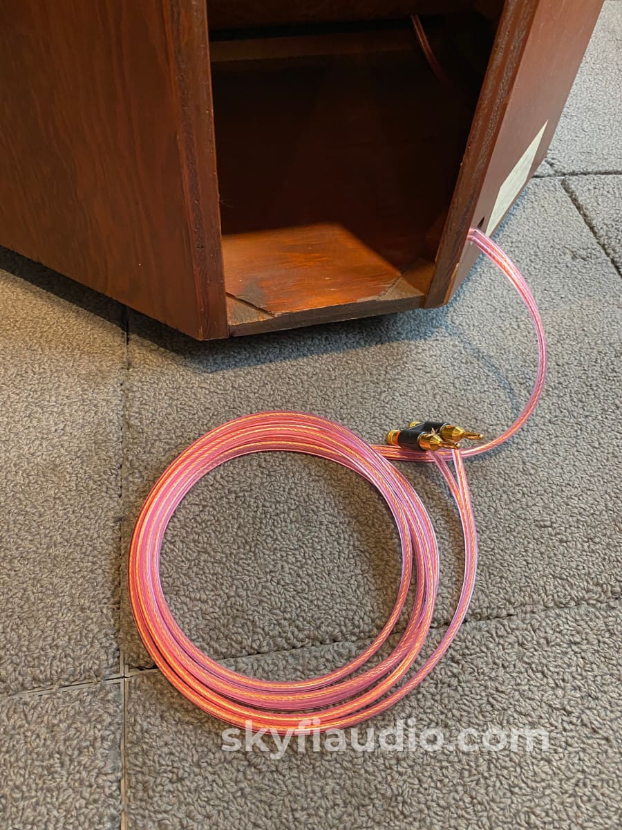 Electro-Voice Aristocrat Vintage Speakers - Tri-Axial Restored