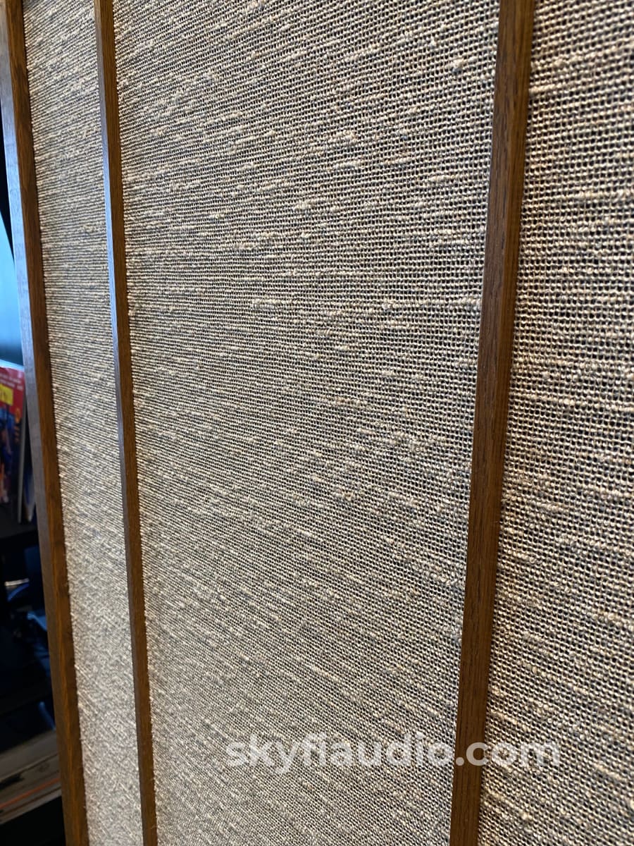 Magnepan Model Mg-1B Magneplanar Speakers Survivors