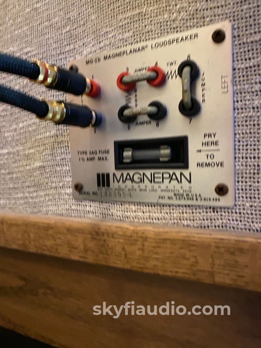 Magnepan Model Mg-1B Magneplanar Speakers Survivors