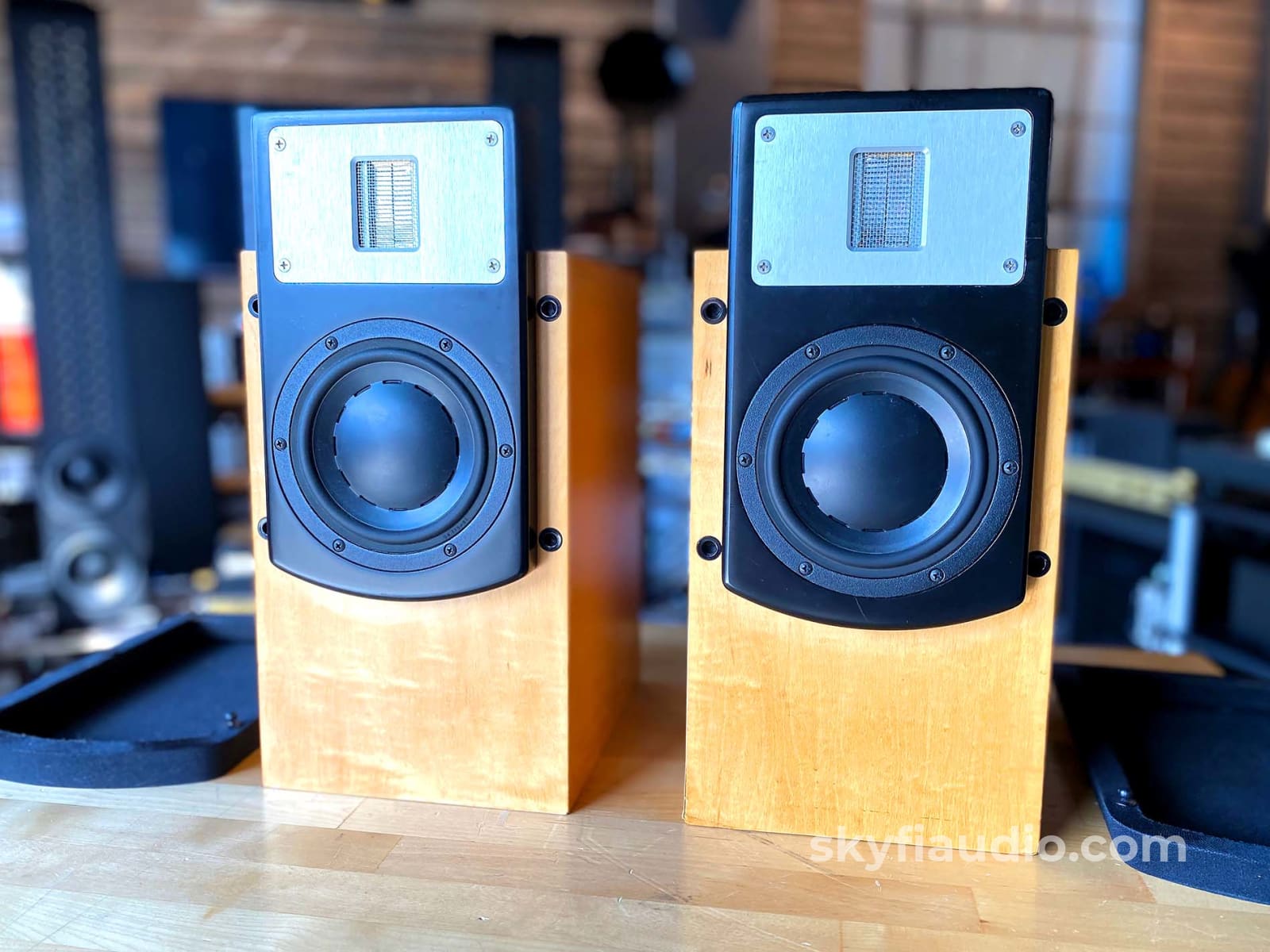 Ribbon tweeter 2024 bookshelf speakers