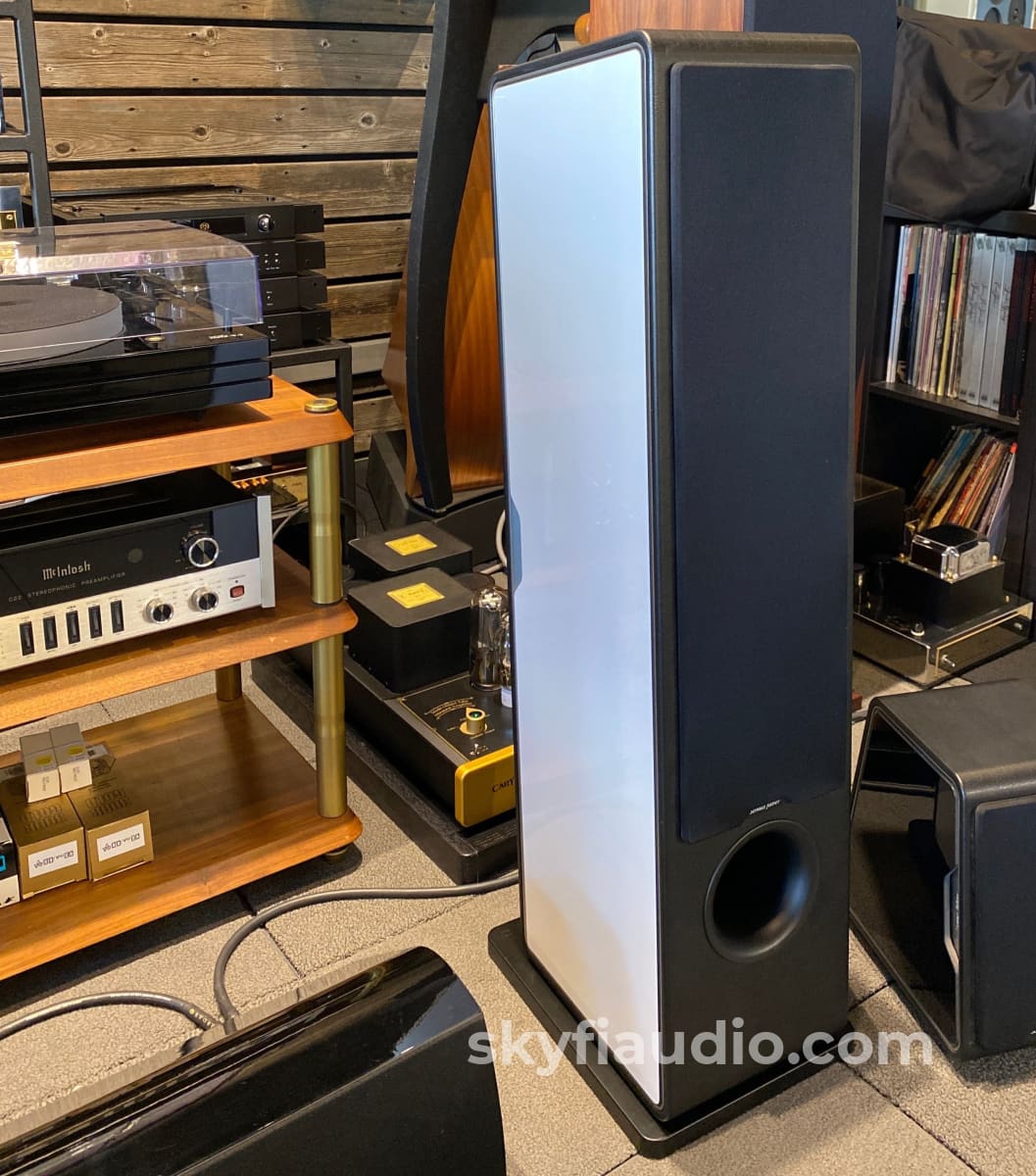 Sonus Faber Chameleon T - Floorstanding Speakers In White/Black