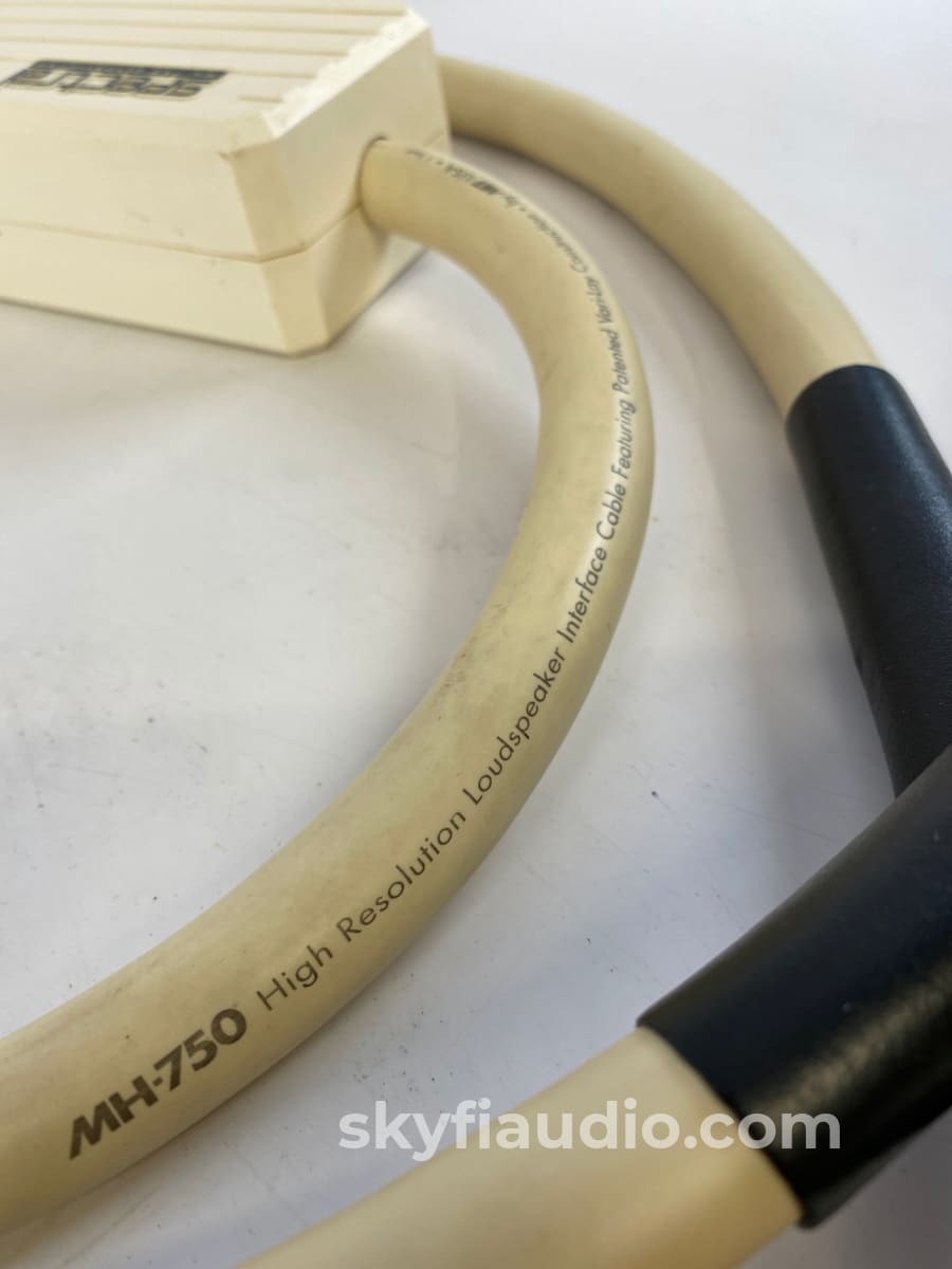 Spectral Mh-750 Ultralinear Speaker Interface Cables W/Mit Terminator Technology - 8