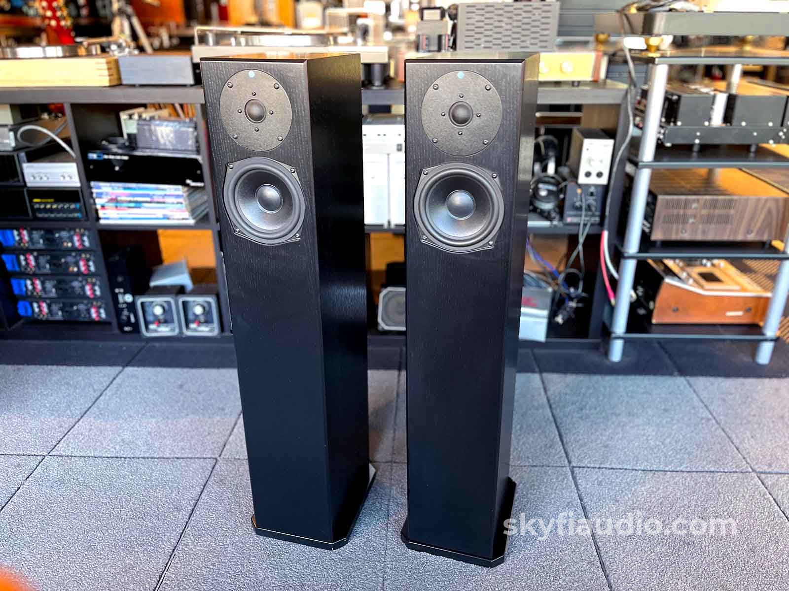 Totem Sttaf Floorstanding Speakers - Big Sound From A Small Box!