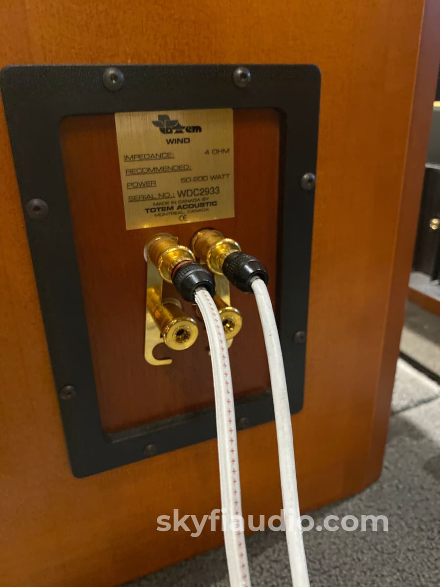 Totem Wind Floorstanding Speakers - Gorgeous And Capable