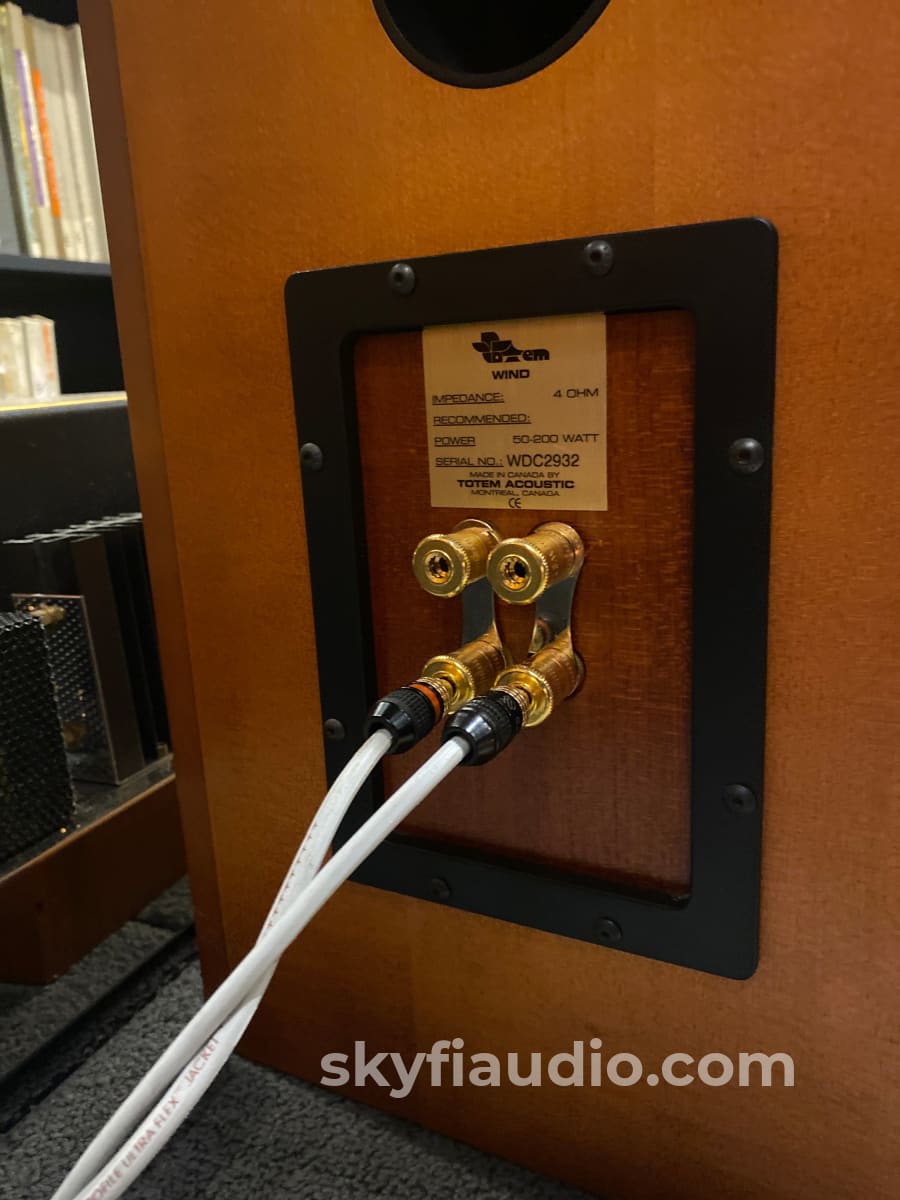 Totem Wind Floorstanding Speakers - Gorgeous And Capable