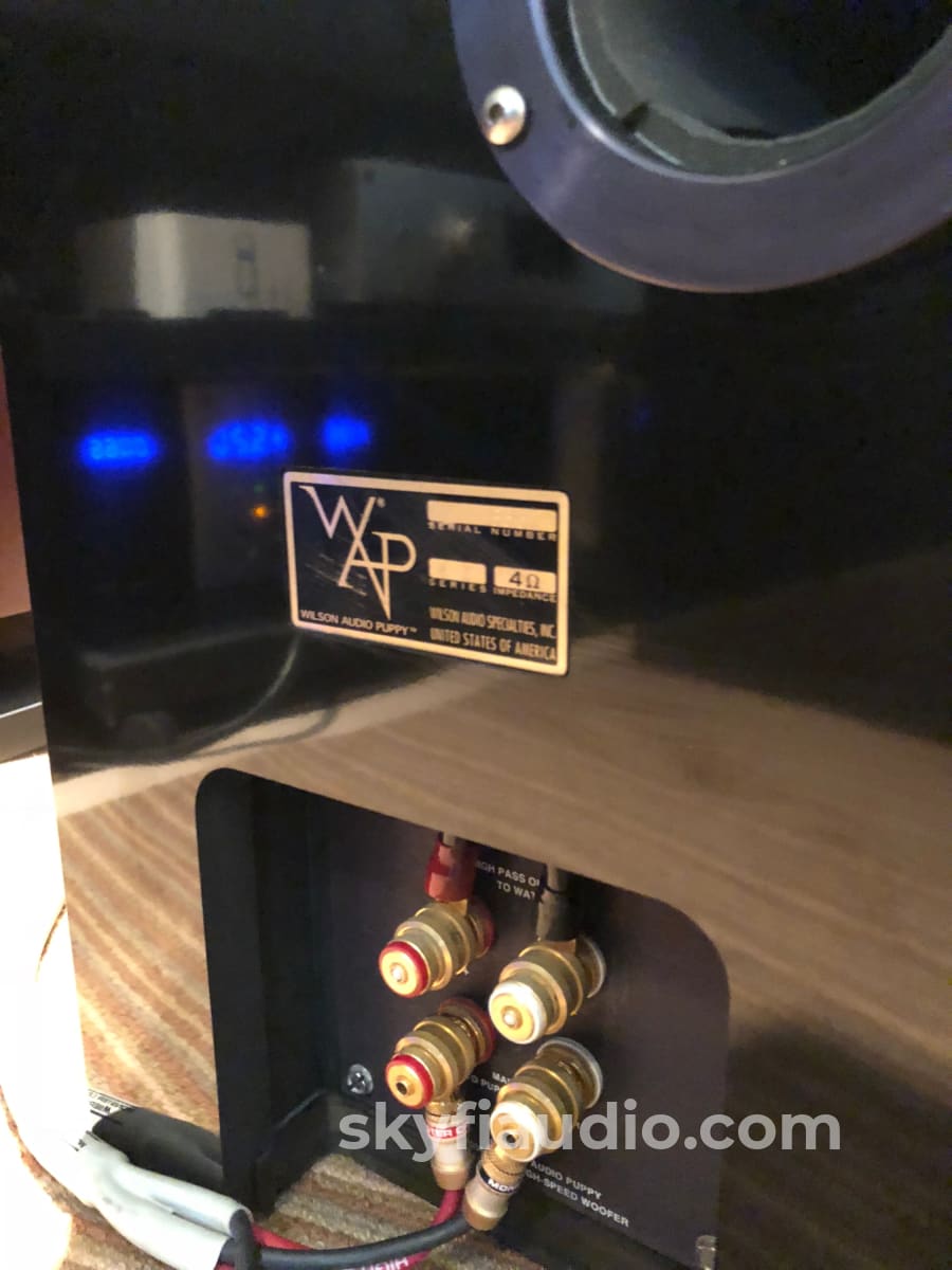 Wilson Audio Cub Center Channel Speaker - Rare Speakers