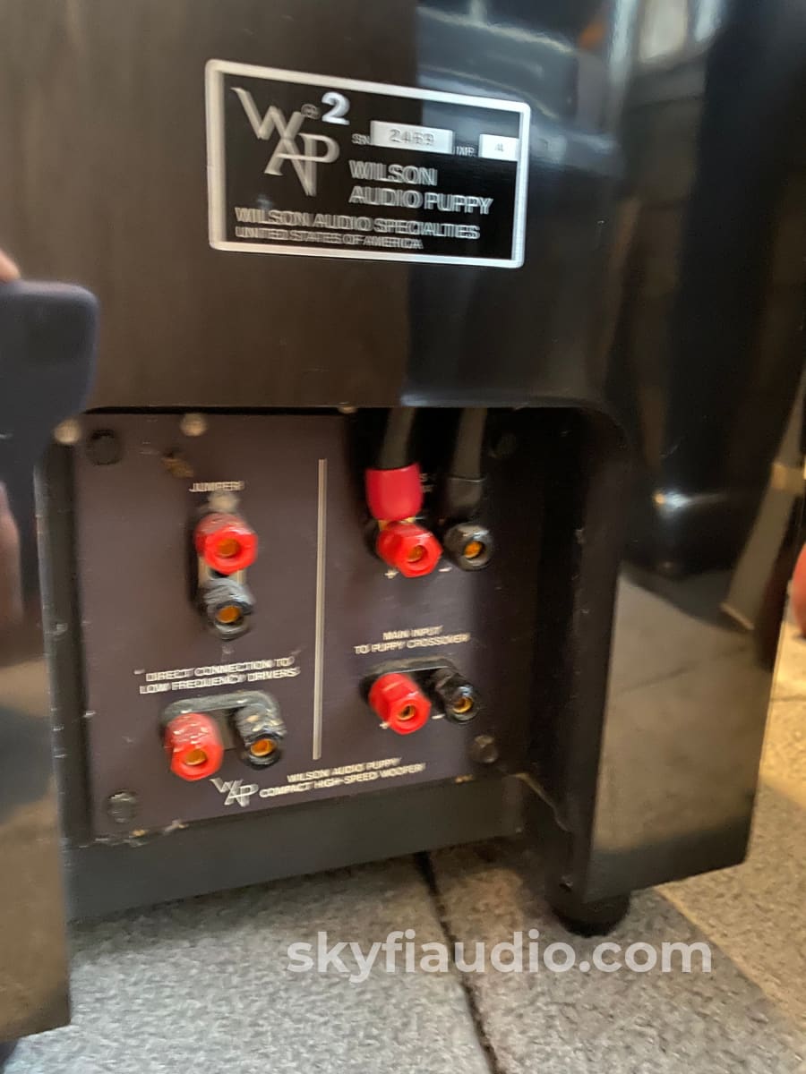 Wilson Audio Tiny Tot With Puppies Speaker System - Restored Speakers