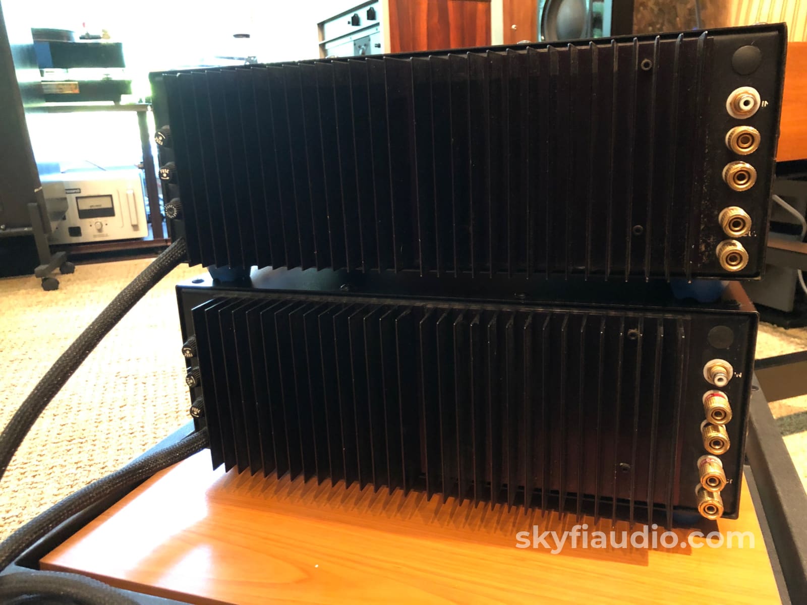 Acoustic Electronics Photon 6000 Monoblock Amplifiers - Super Rare And Powerful Amplifier