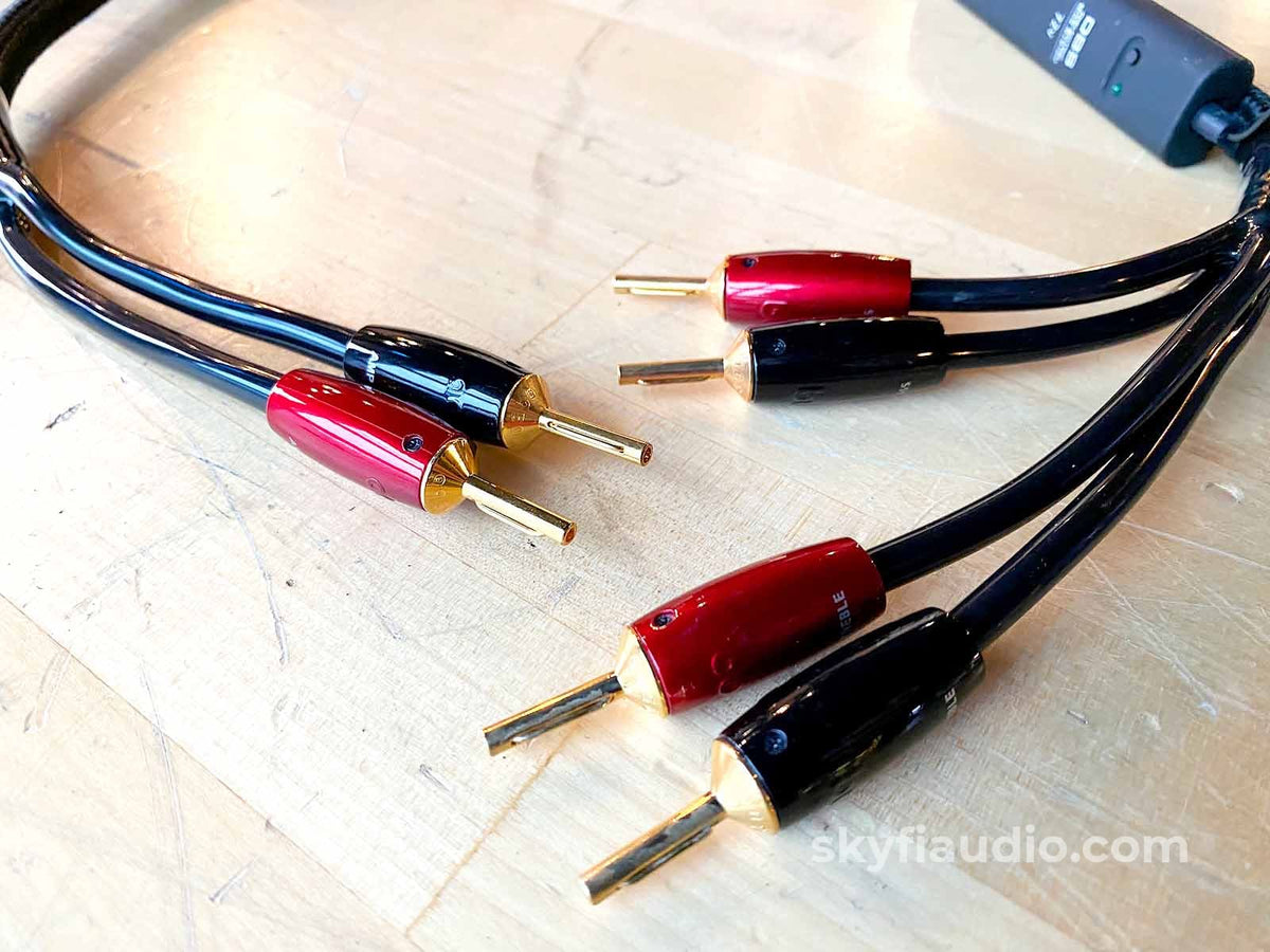 AudioQuest Rocket 88 Bi-Wire Speaker Cable Pair With 72V DBS - 3ft