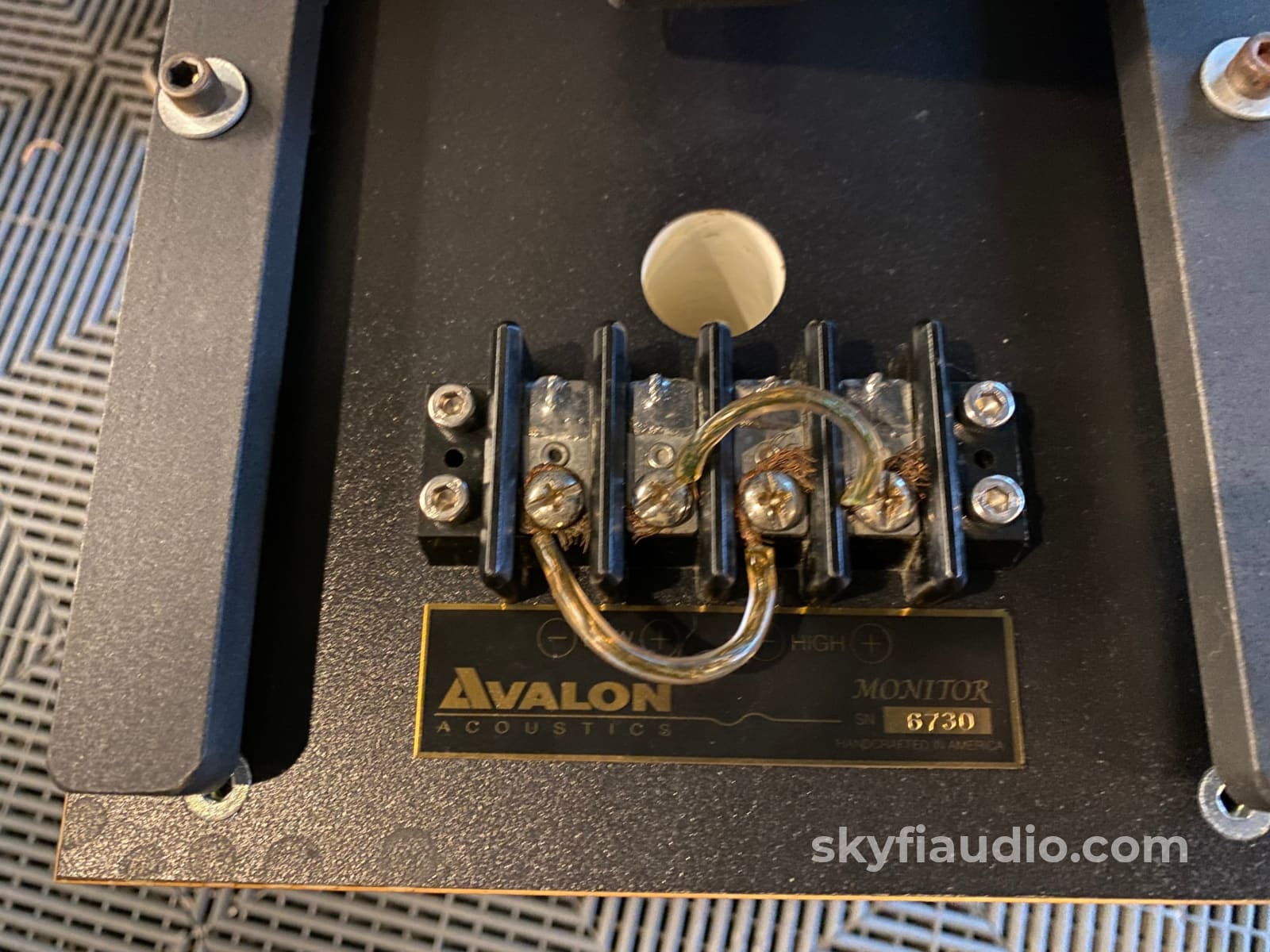 Avalon Acoustics Monitor Speakers W/ Matching Stands