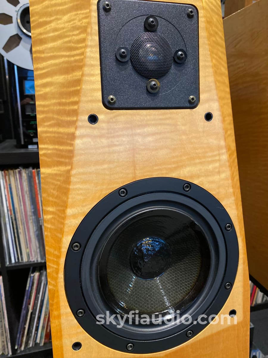 Avalon Acoustics Monitor Speakers W/ Matching Stands