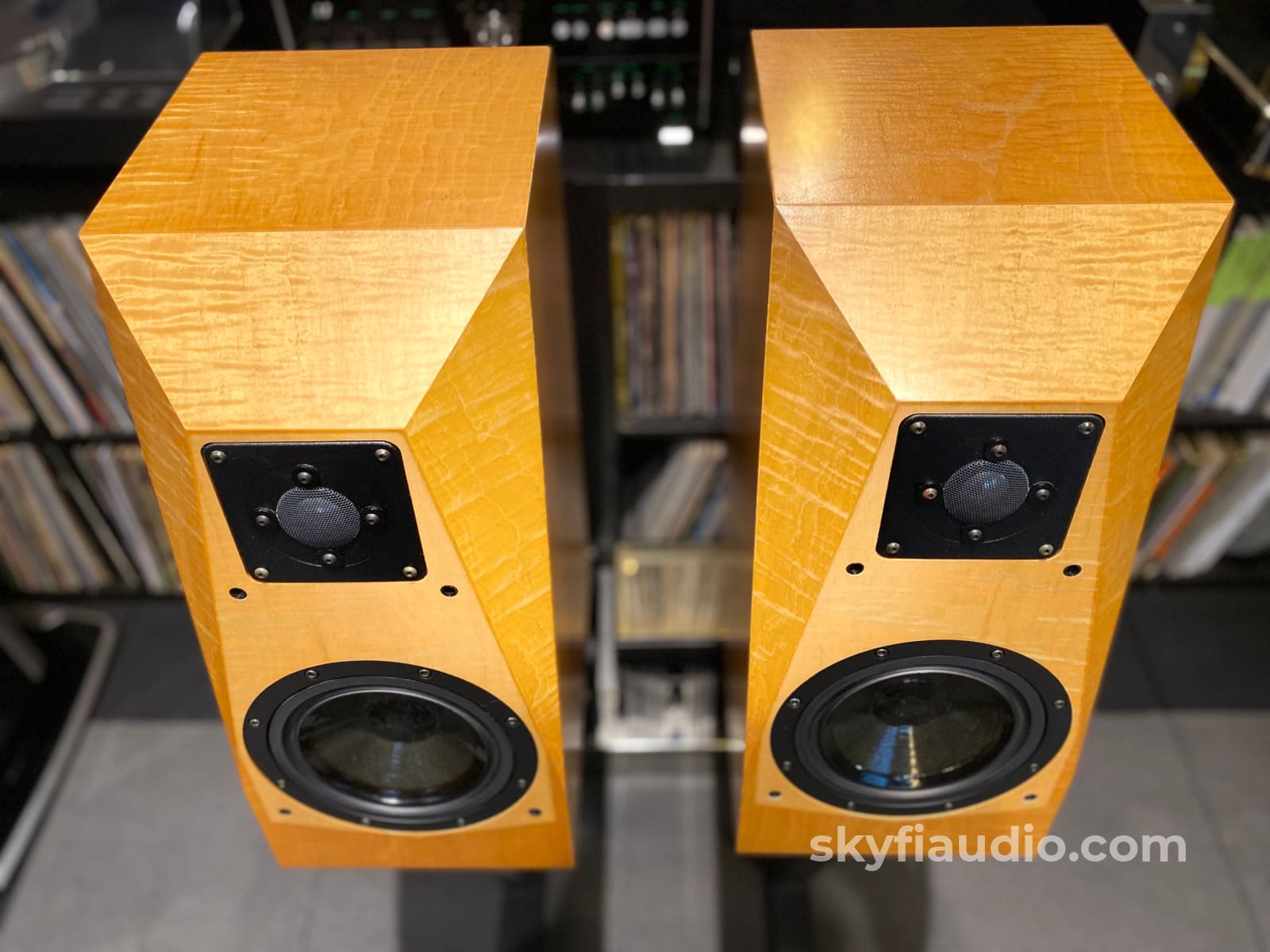 Avalon Acoustics Monitor Speakers w/ Matching Stands