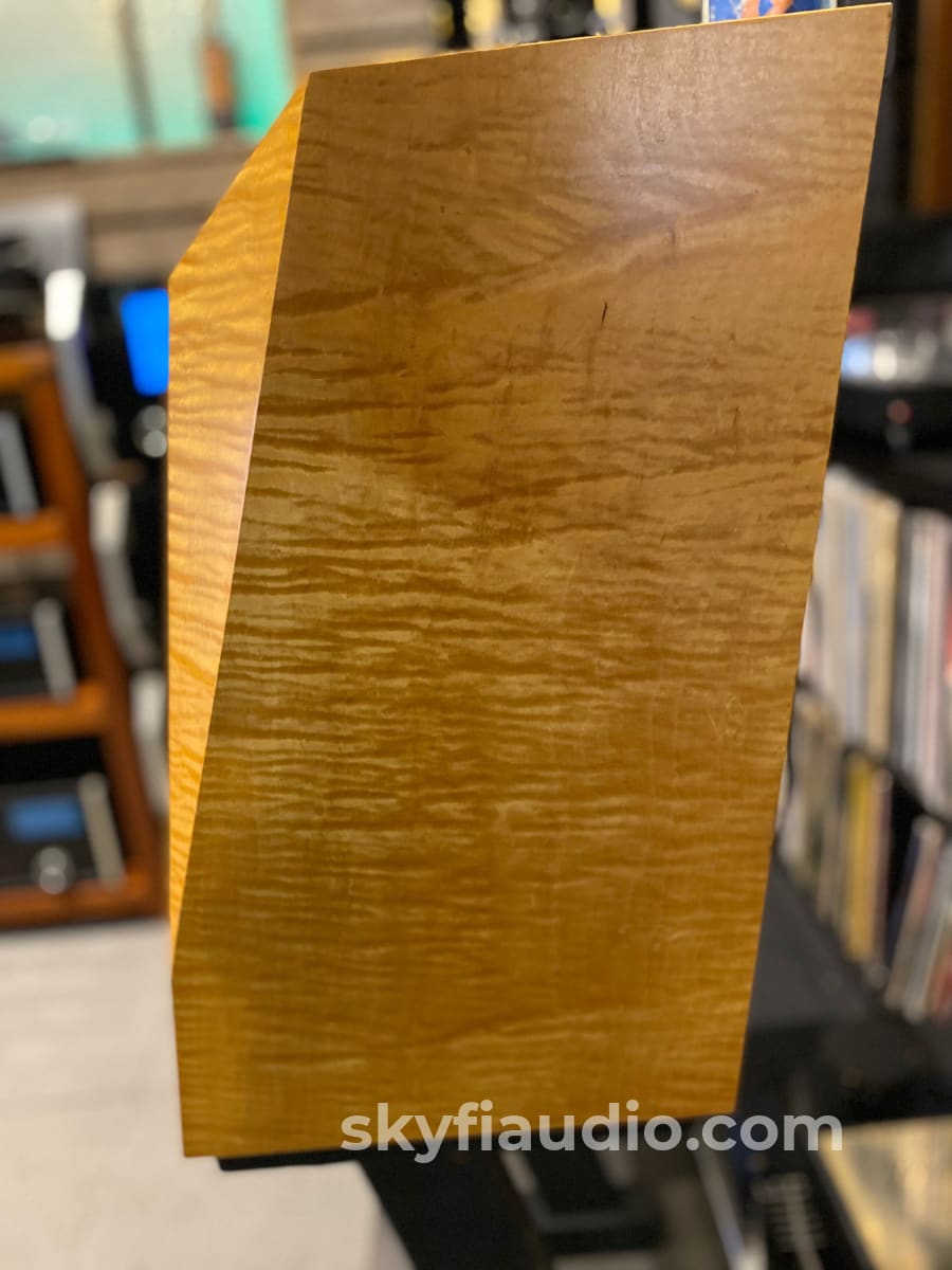 Avalon Acoustics Monitor Speakers W/ Matching Stands