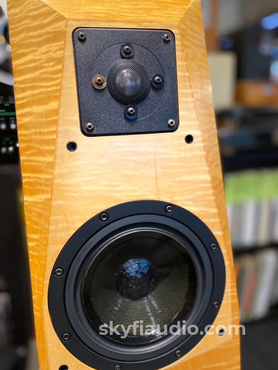 Avalon Acoustics Monitor Speakers W/ Matching Stands