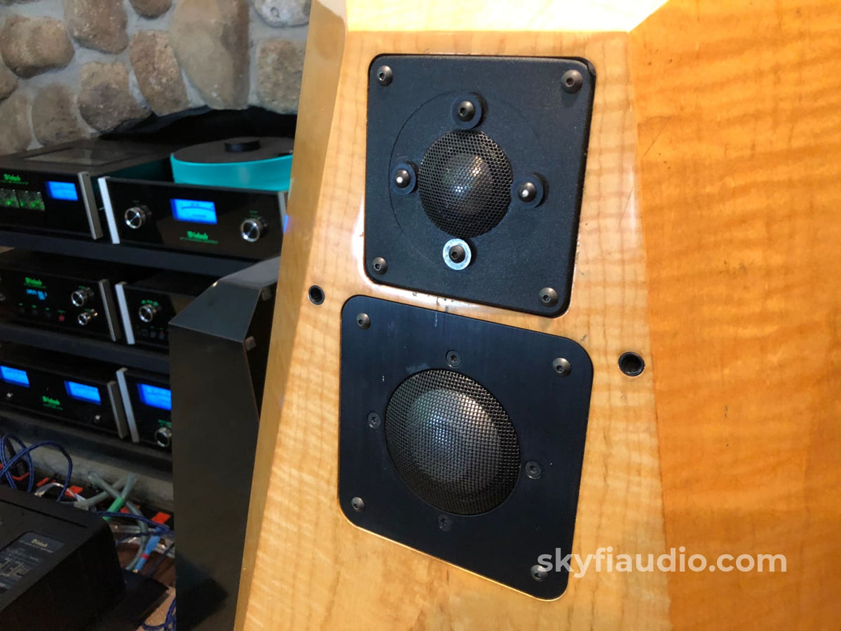 Avalon Ascent Mkii Flagship Speaker With External Crossovers Speakers