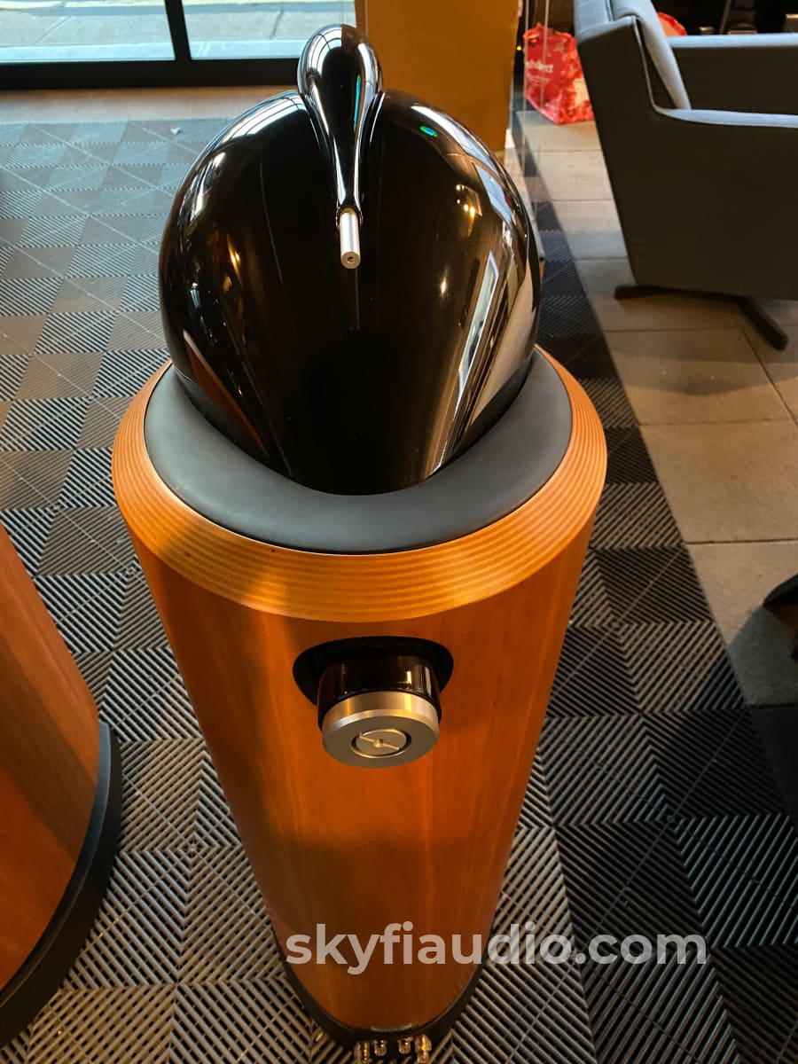 Bowers & Wilkins 802D Speakers In Cherrywood - Like New