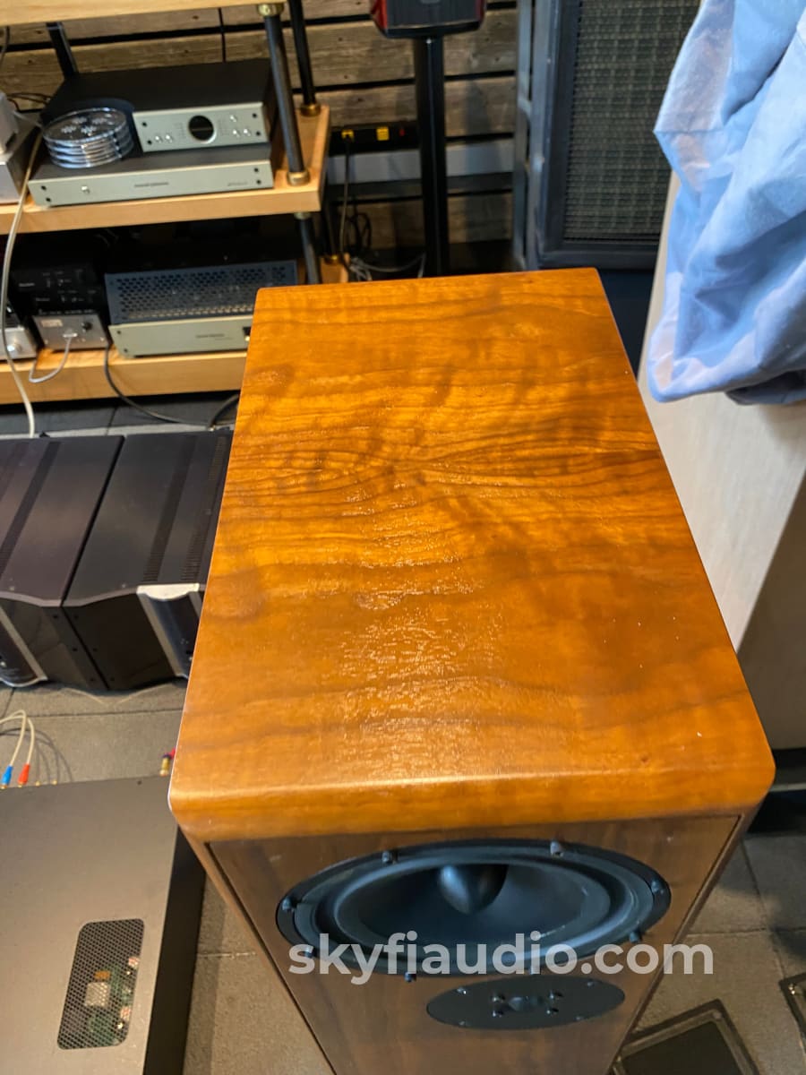 Devore Fidelity Gibbon Nines 2-Way Speakers In A Gorgeous Finish Made In Nyc!