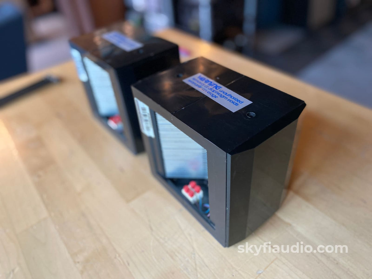 Ess Heil Amt (Air Motion Transformer) Tweeter Pair - Original! Speakers
