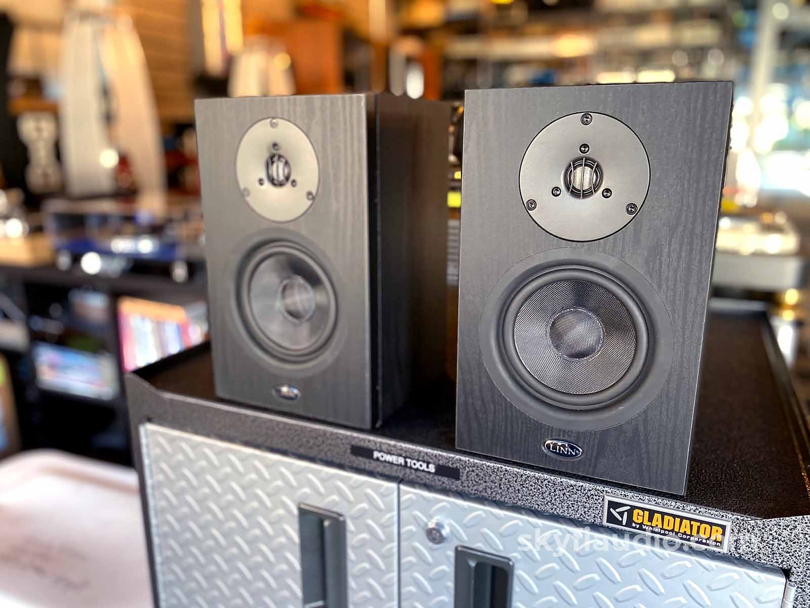 Linn Kan Iv Bookshelf Speakers In Black Finish