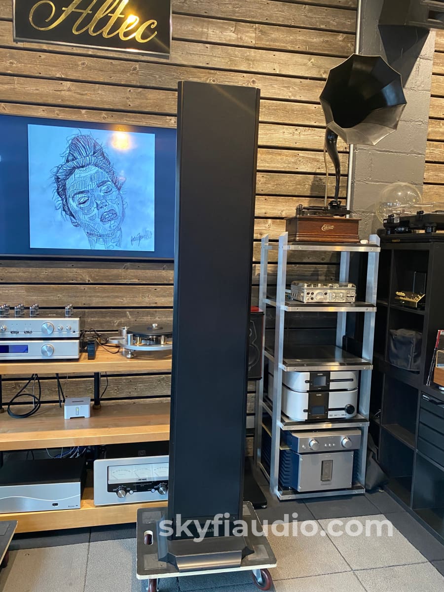 McIntosh XRT29 Line Array Speakers - Super Rare