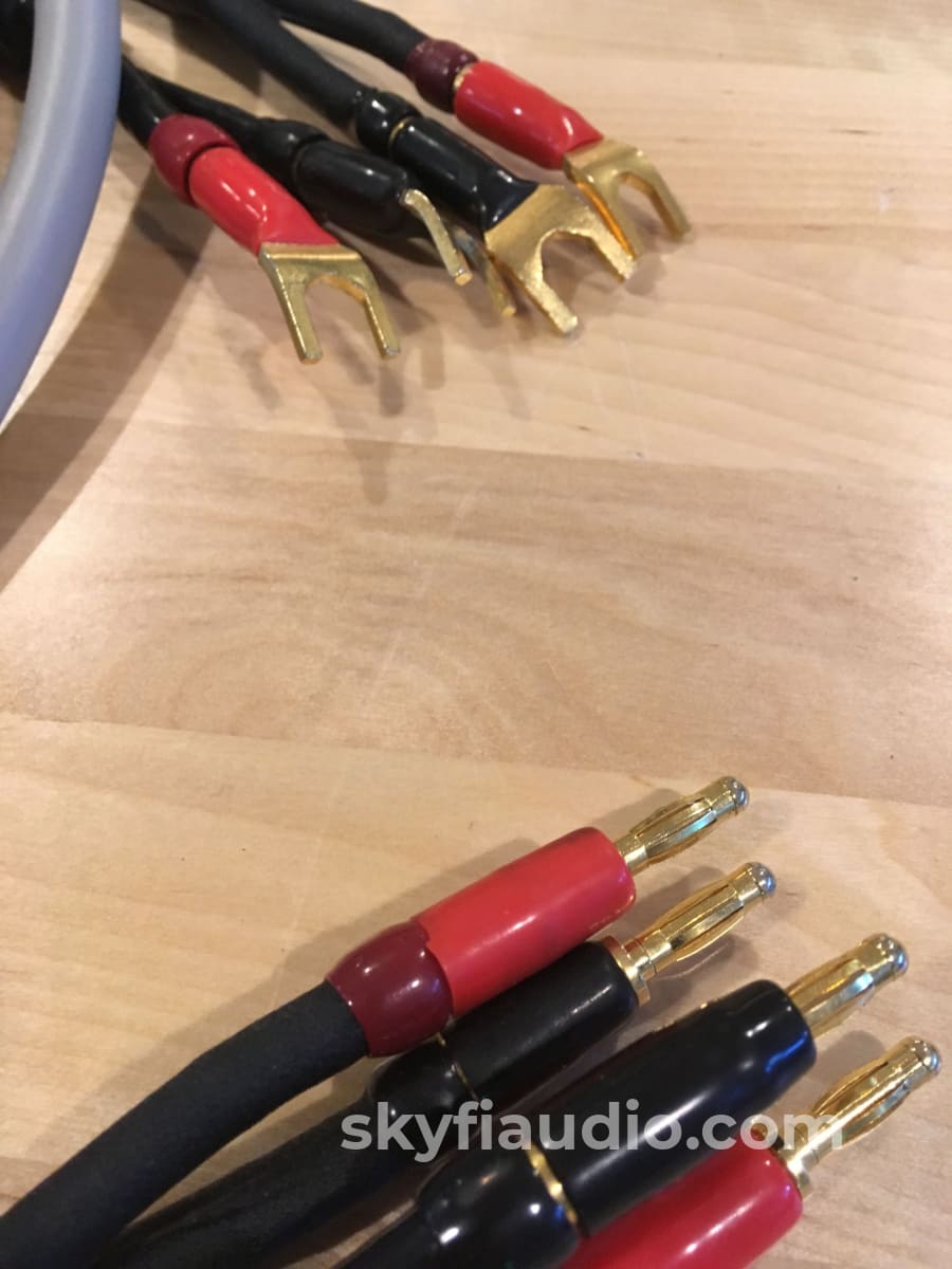 MIT Cables Terminator T5 Speaker Cables, 10'