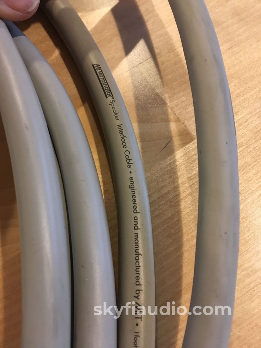MIT Cables Terminator T5 Speaker Cables, 10'