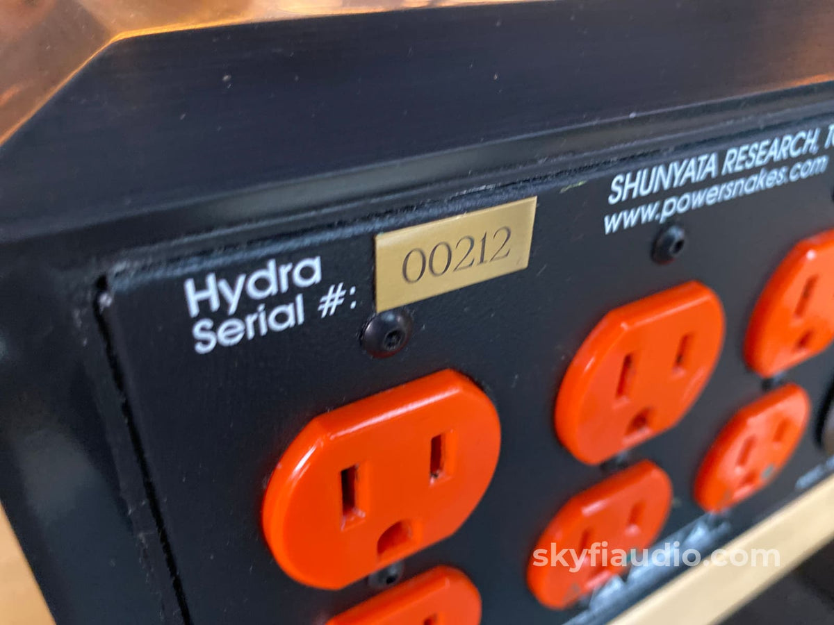 Shunyata Hydra Powersnakes Power Conditioner - Original Wood Version