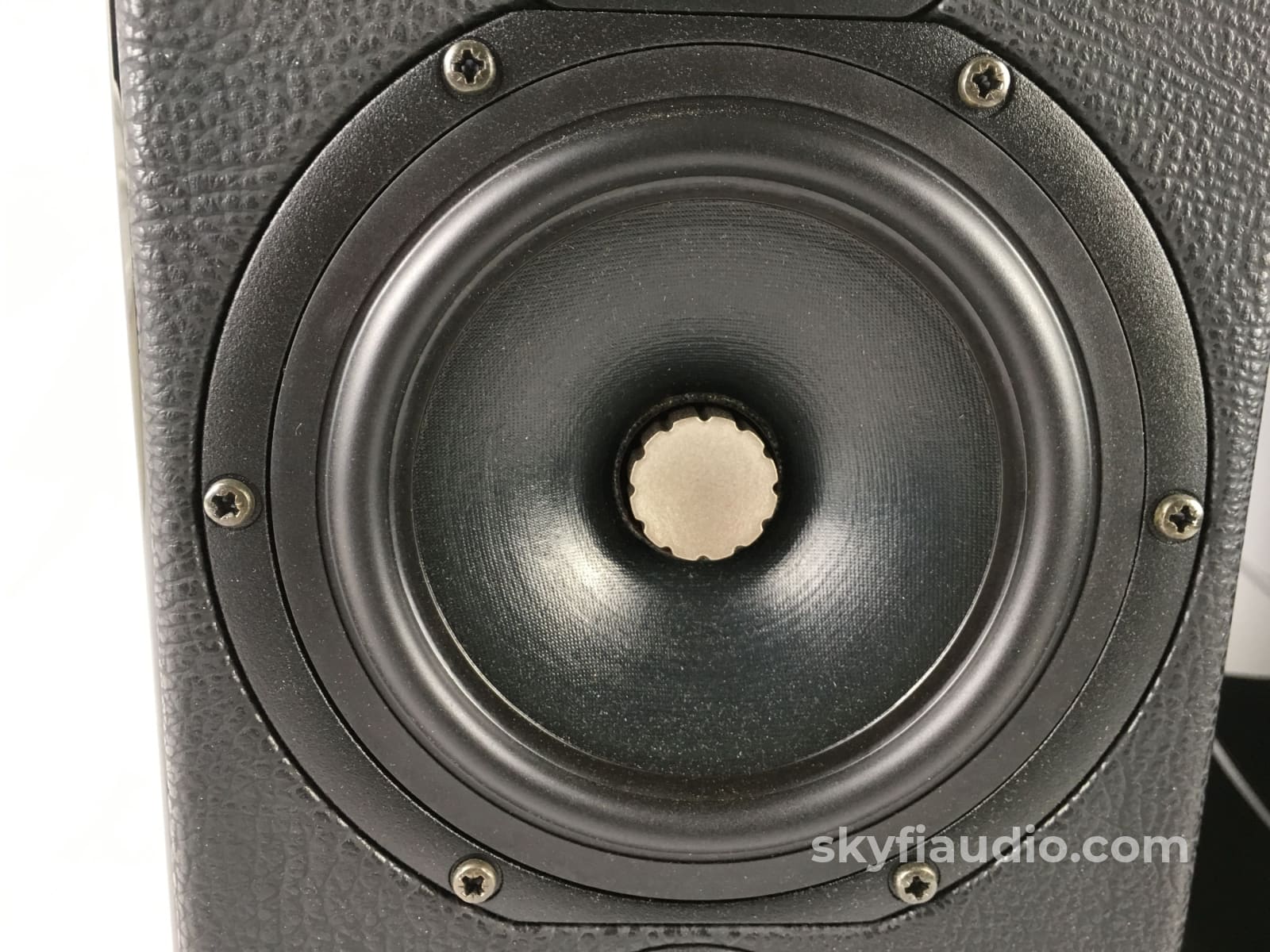 Sonus Faber Concertino Domus Speakers with Matching Stands