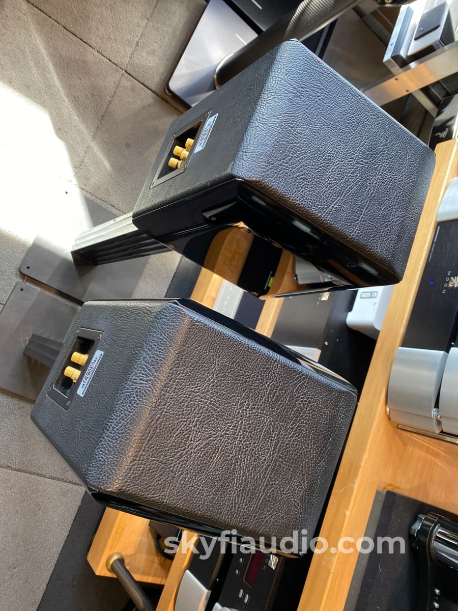 Sonus Faber Concertino Speakers With Matching Stands - Wow