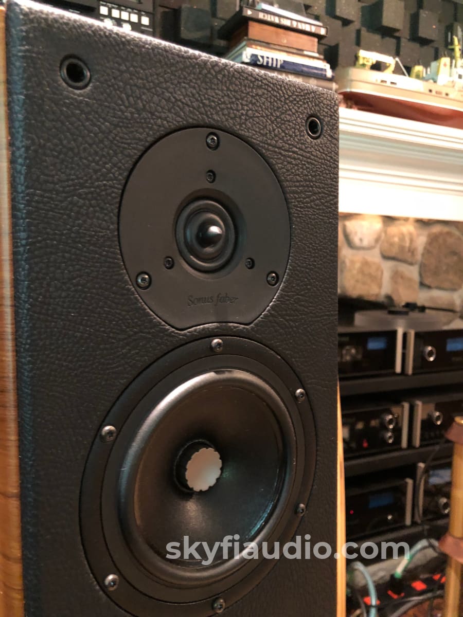 Sonus Faber Grand Piano Domus - Our Best Looking Speakers! Speakers