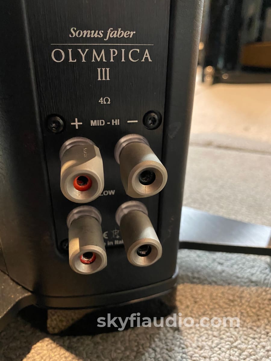 Sonus Faber Olympica Iii Speakers In Gloss Black And Leather