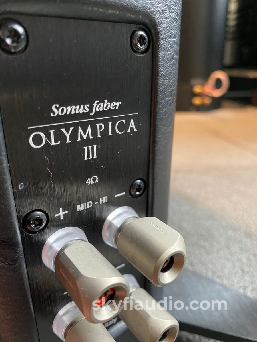 Sonus Faber Olympica Iii Speakers In Gloss Black And Leather