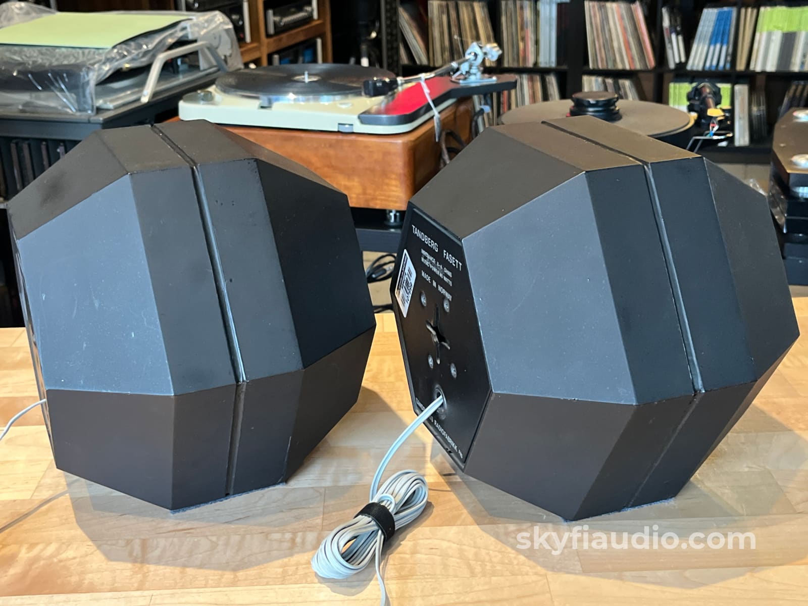 Tandberg Fasett Vintage Hexigonal Bookshelf Speakers - Terje Ekstrom D