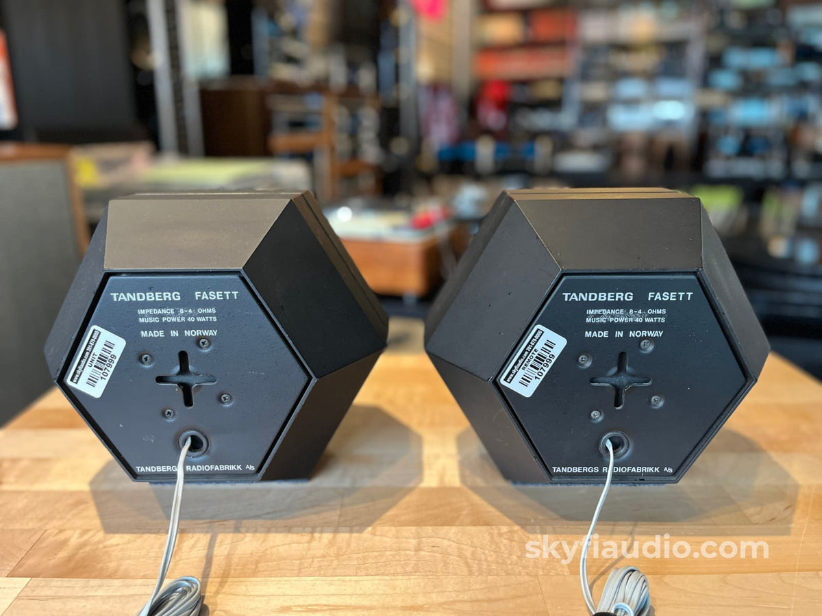 Tandberg Fasett Vintage Hexigonal Bookshelf Speakers - Terje Ekstrom Designed - Speakers