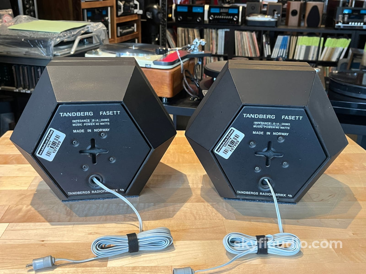 Tandberg Fasett Vintage Hexigonal Bookshelf Speakers - Terje Ekstrom Designed - Speakers