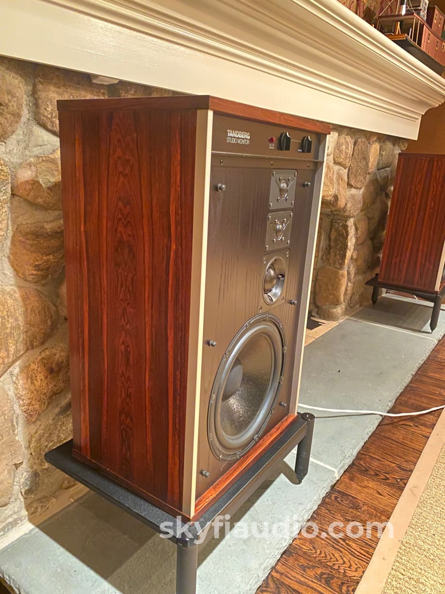 Tandberg Studio Monitor Speakers - Rare