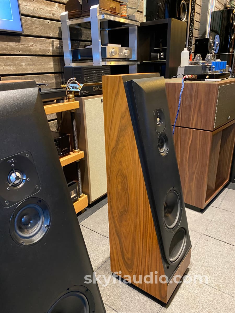 This Cs2.2 Full Range Floor Standing Speakers - Super Clean