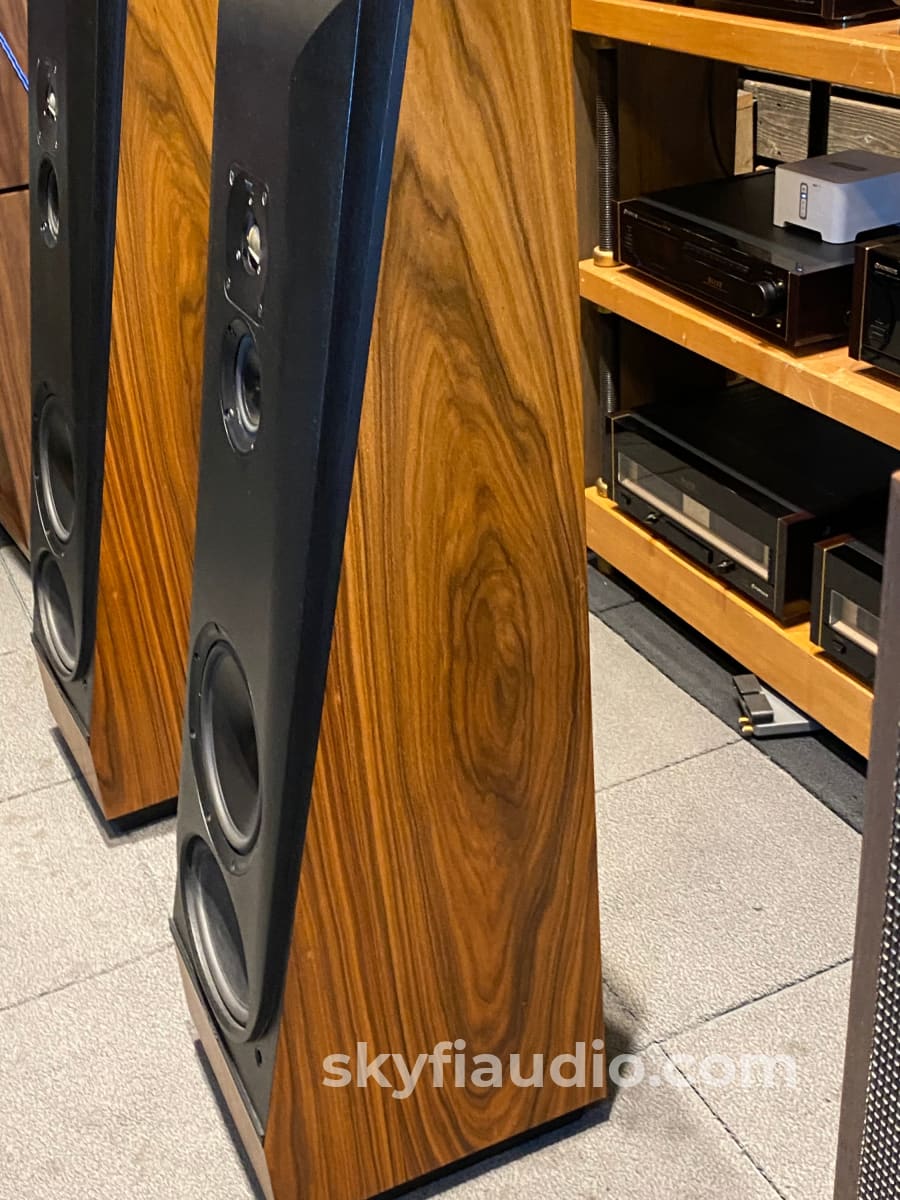 This Cs2.2 Full Range Floor Standing Speakers - Super Clean